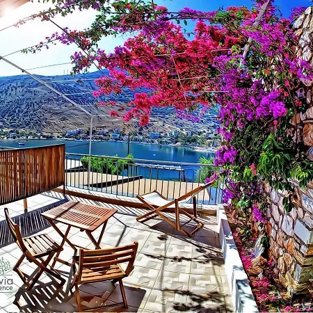 Lägenhetshotell Evia Silence 4*